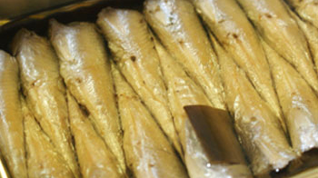 「いわし」じゃないのよ「サーディン」よ